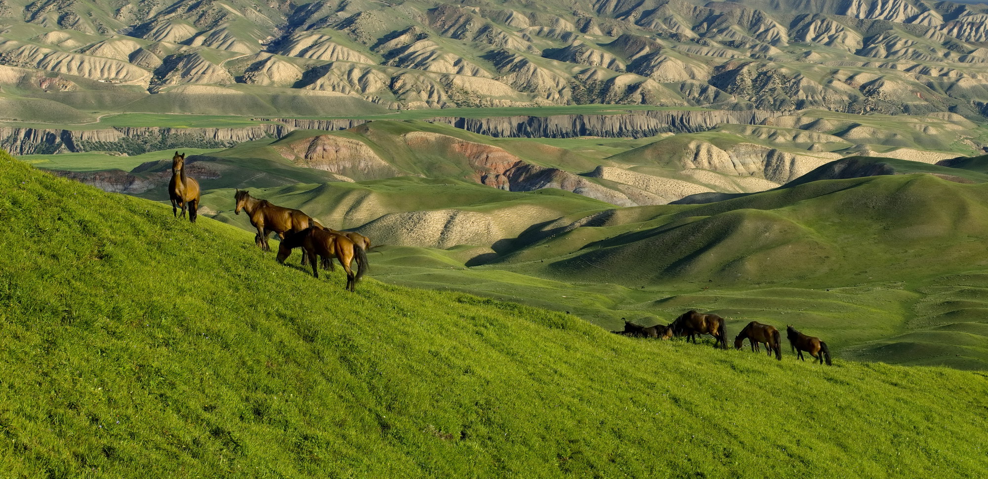 Seen from Afar Mountains