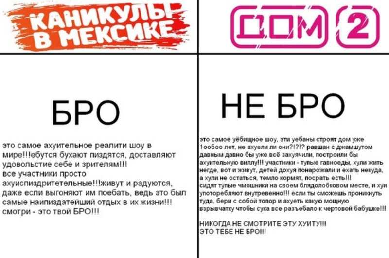 Картинки бро не бро