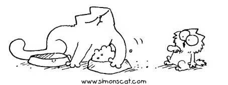 Кот саймона