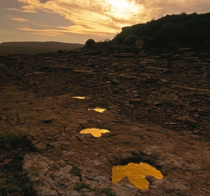 Удивительные фотографии, которым не нужен фотошоп, чтобы привлечь ваше внимание