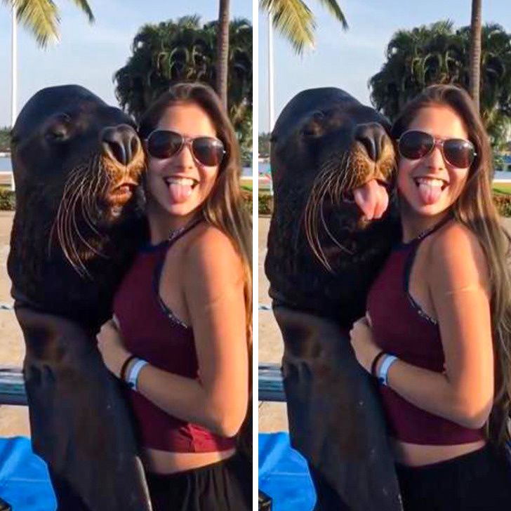 25 животных, которые вызовут у вас острый приступ умиления