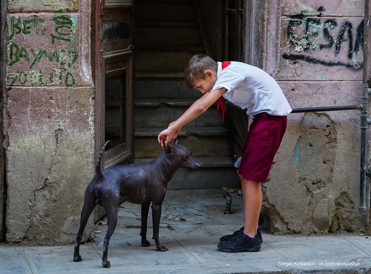 20+ кадров от фотохудожника- путешественника, которые докажут, что вокруг нас — красота, доброта и много поводов для улыбки