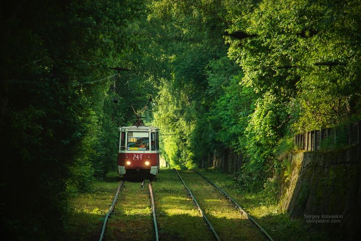 20+ кадров от фотохудожника- путешественника, которые докажут, что вокруг нас — красота, доброта и много поводов для улыбки