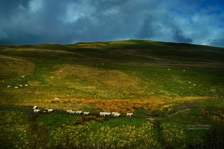 20+ кадров от фотохудожника- путешественника, которые докажут, что вокруг нас — красота, доброта и много поводов для улыбки
