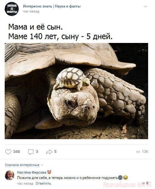 Комментарии к постам в разных группах