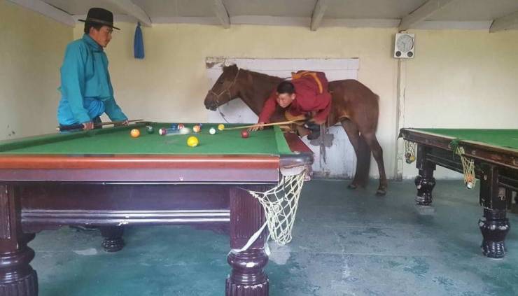 Смешные фото вечер 17 июля 2020