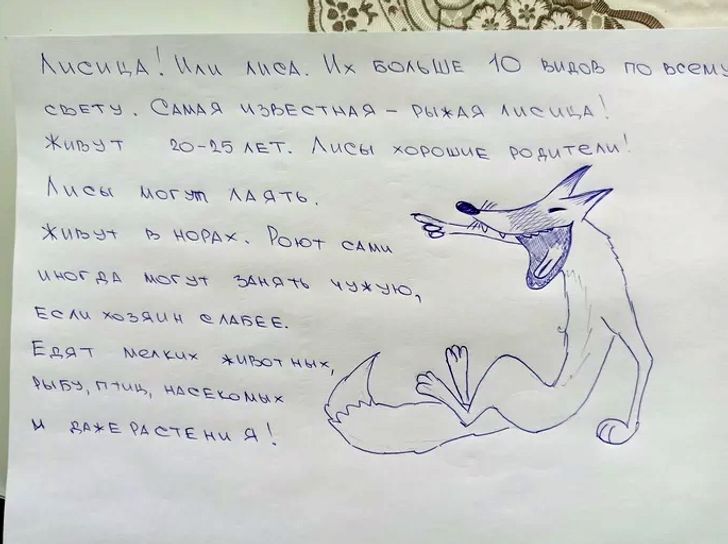 15+ примеров воспитания, которые вдохновят на новые родительские подвиги