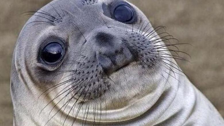 Один из самых неловких моментов в моей жизни