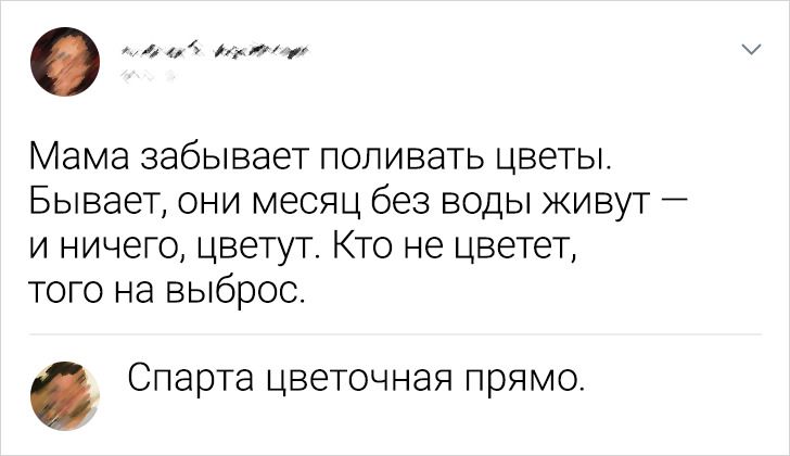 20+ человек, чьи остроумные комментарии сделали день тысяч людей