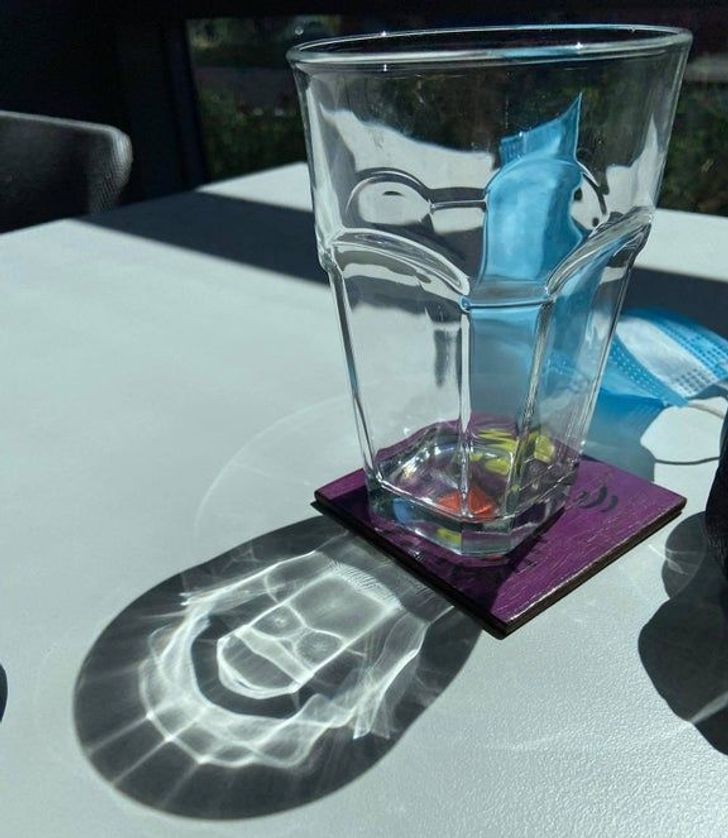 18 фото, на которых птичка вылетела в нужный момент