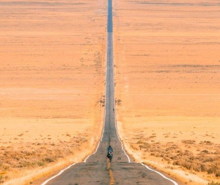 18 фото, на которых птичка вылетела в нужный момент