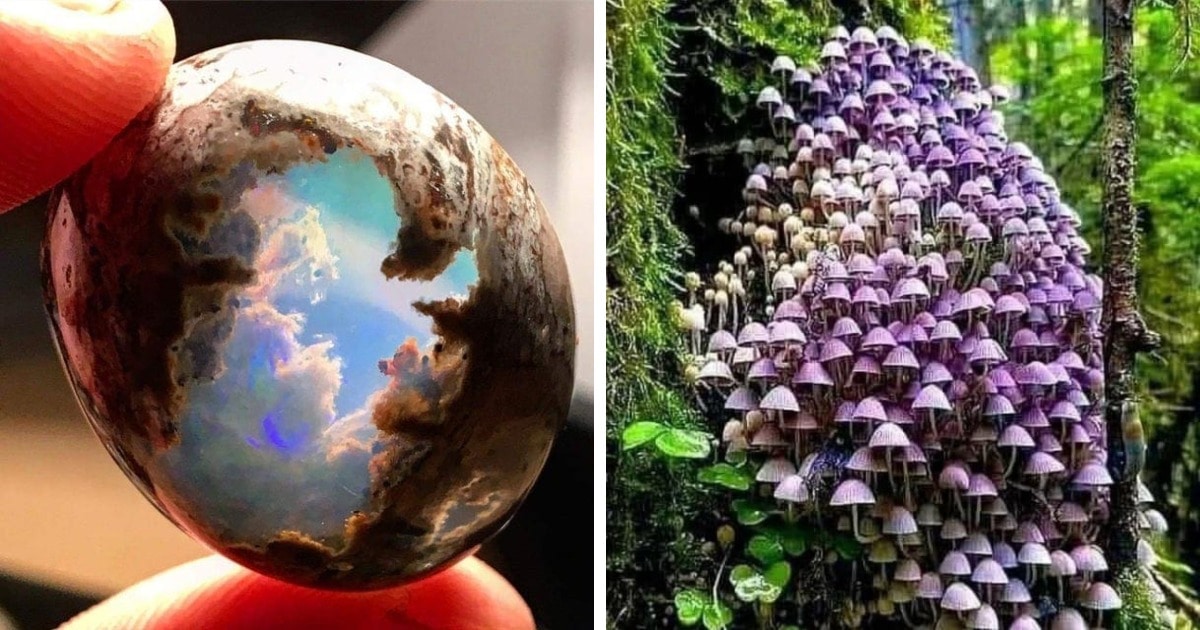 19 фотографий, которые доказывают, что природа — самый настоящий художник, которому нет равных