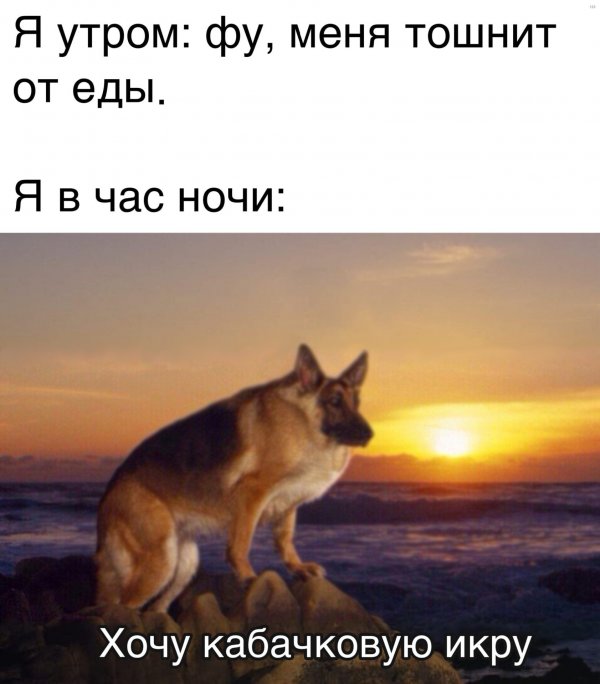 Нестандартный юмор :)