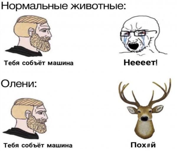 Нестандартный юмор :)