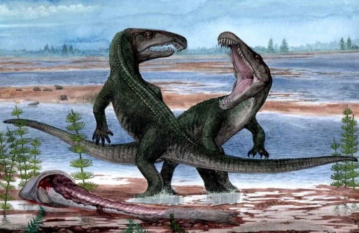 Как выглядели яйца динозавров: факты о жизни миллион лет до нашей эры Как выглядели яйца динозавров: факты о жизни миллион лет до нашей эры