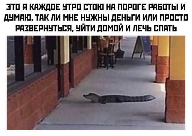 Смешные картинки вечер 26 января 2021