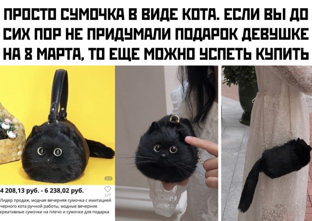 Смешные фото вечер 8 февраля 2021