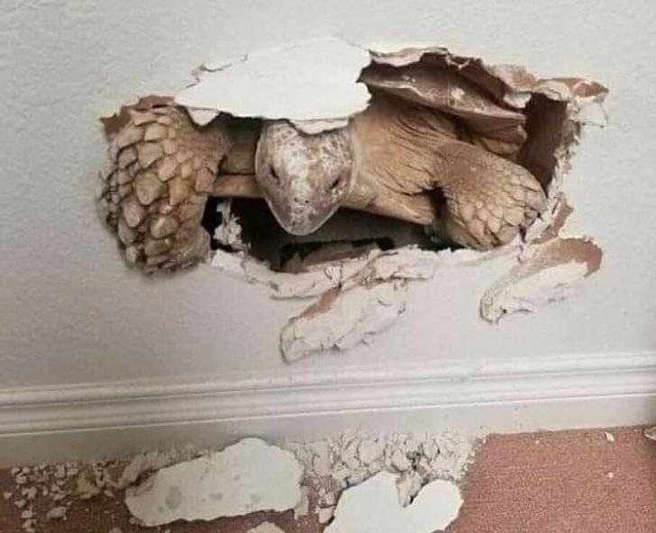 22 человека, которых мама точно в понедельник родила, иначе откуда этот вагон невезения