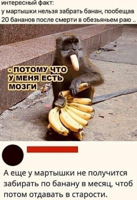 Комменты и диалоги из соцсетей: новая порция юмора и интересных наблюдений Комменты и диалоги из соцсетей: новая порция юмора и интересных наблюдений