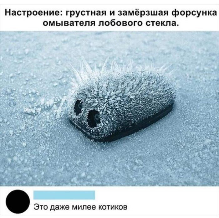 Комменты и диалоги из соцсетей: новая порция юмора и интересных наблюдений Комменты и диалоги из соцсетей: новая порция юмора и интересных наблюдений