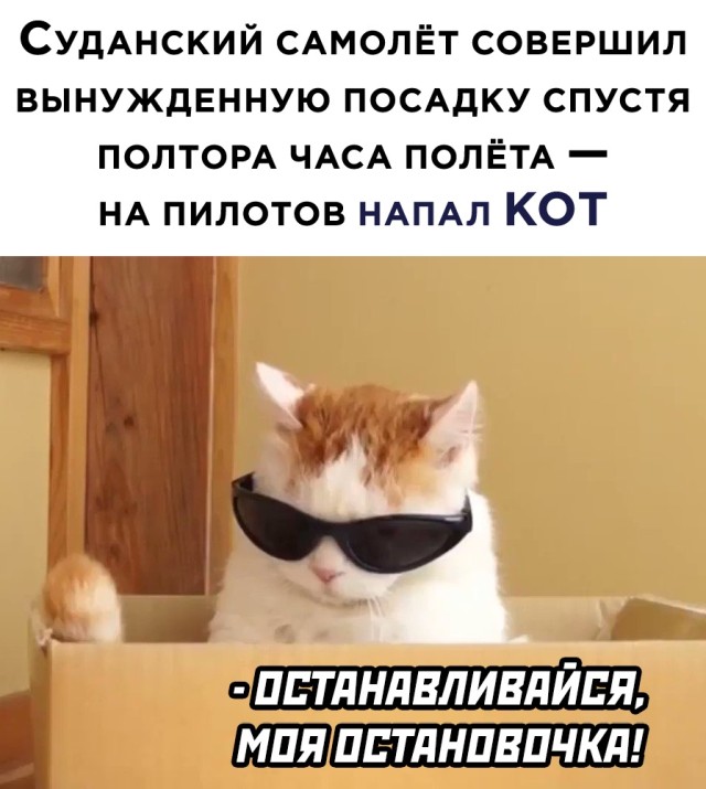 Подборка картинок. Вечерний выпуск (30 фото) - 01.03.2021