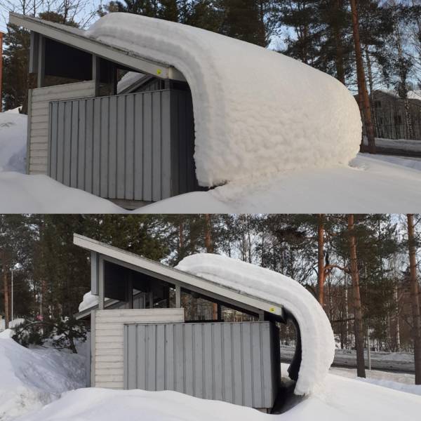 Подборка картинок. Вечерний выпуск (30 фото) - 01.03.2021