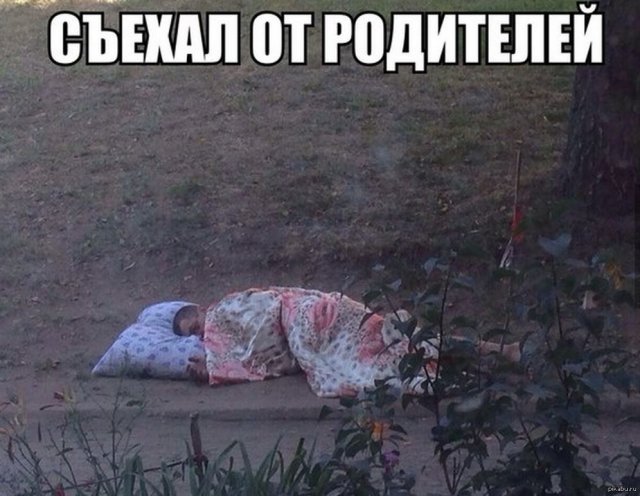 Подборка приколов от людей, которые только что съехали от родителей