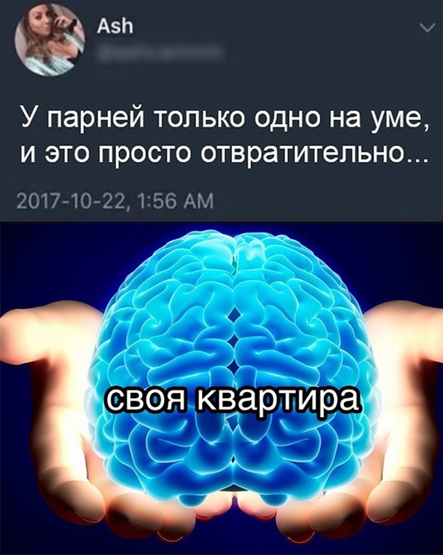 Смешные картинки 28 апреля 2021 года