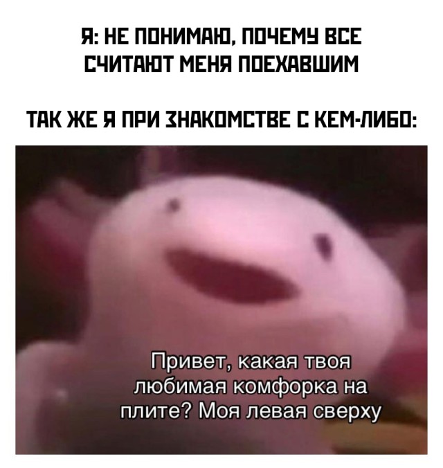 Смешные картинки 26 мая 2021 года