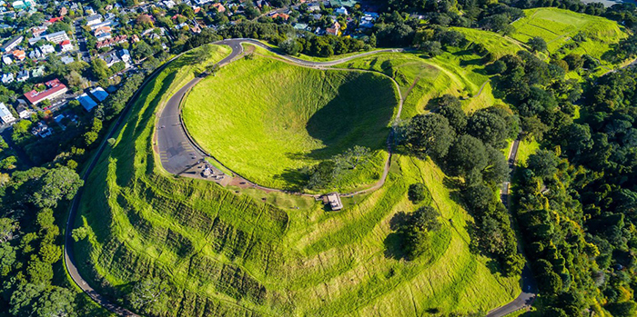 Специалисты будут продолжать исследования об изменениях поведения ежей в Новой Зеландии. Специалисты будут продолжать исследования об изменениях поведения ежей в Новой Зеландии.