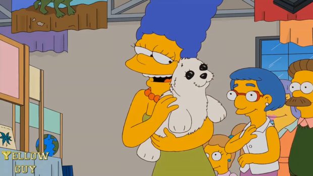 Фото №4 - 10 опасных животных, которые кажутся безобидными