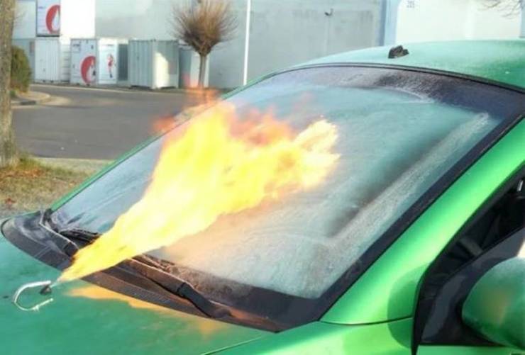 Смешные картинки 11 ноября 2021 года