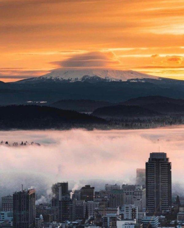 Обманчивые фотографии, которые выглядят так, будто составлены из двух кадров