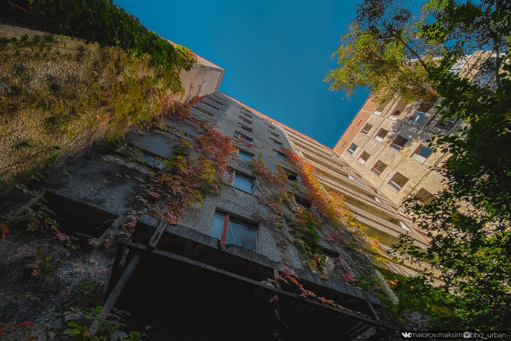 Как зарастает Припять спустя 35 лет после аварии на ЧАЭС