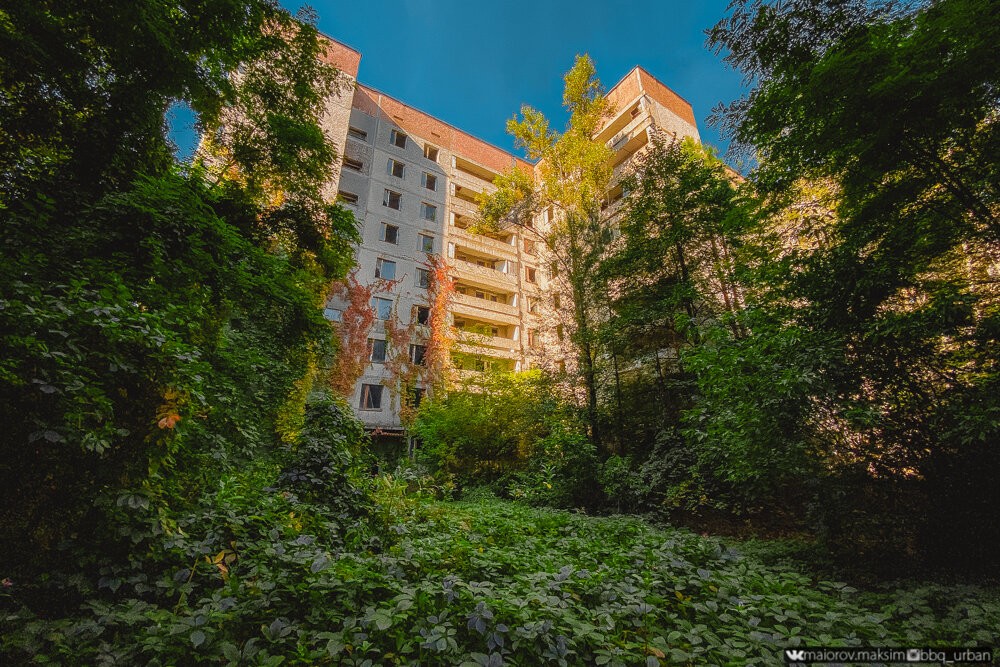 Как зарастает Припять спустя 35 лет после аварии на ЧАЭС