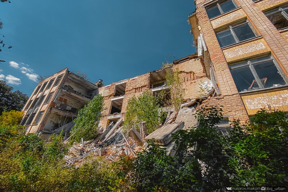 Как зарастает Припять спустя 35 лет после аварии на ЧАЭС