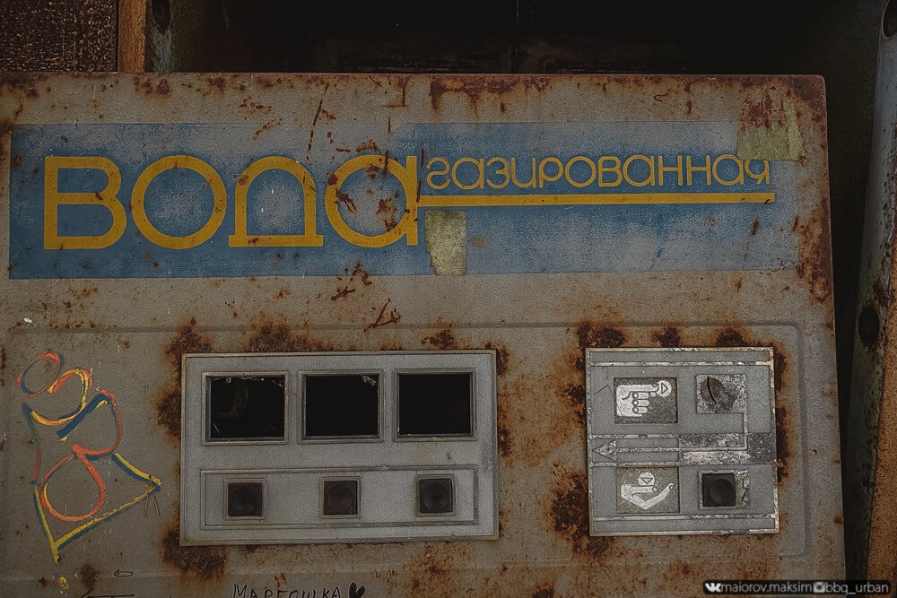 Как зарастает Припять спустя 35 лет после аварии на ЧАЭС