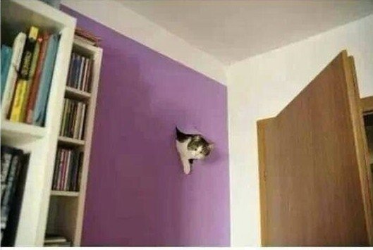 20 загадочных снимков, которые практически невозможно объяснить