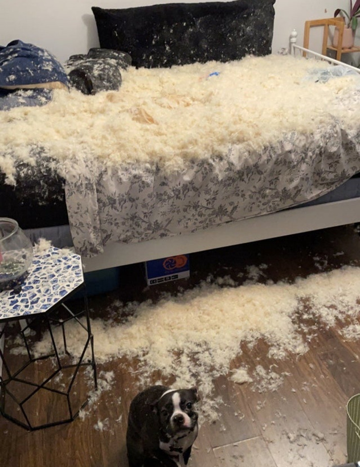 18 человек, которым везение вместо улыбки показало кукиш с маслом