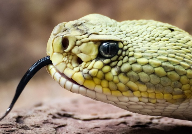 17 случаев, когда люди сморозили такое, что у окружающих брови на лоб полезли, да там и остались