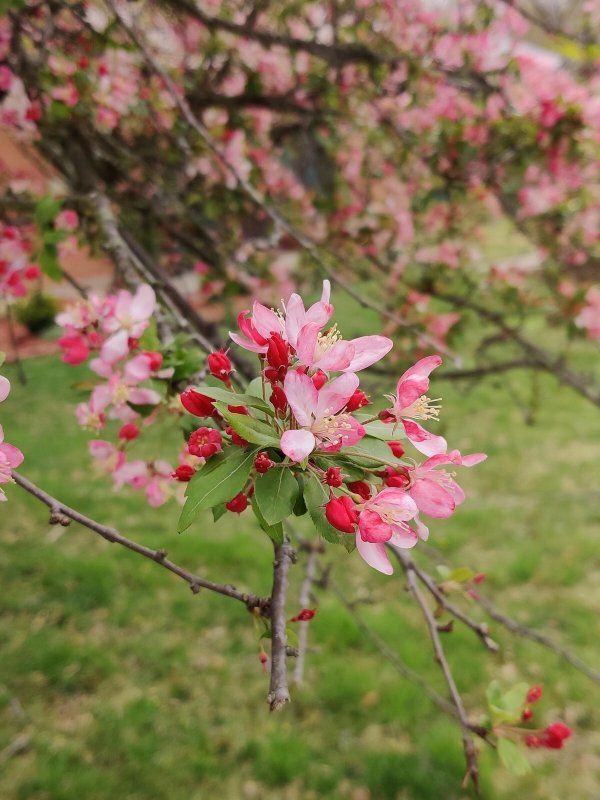 Фотоподборка