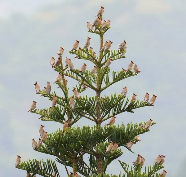 Фотоподборка