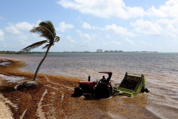 Фотоподборка