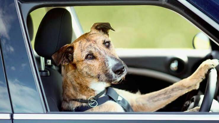 Подборка картинок. Вечерний выпуск (30 фото) - 03.08.2022