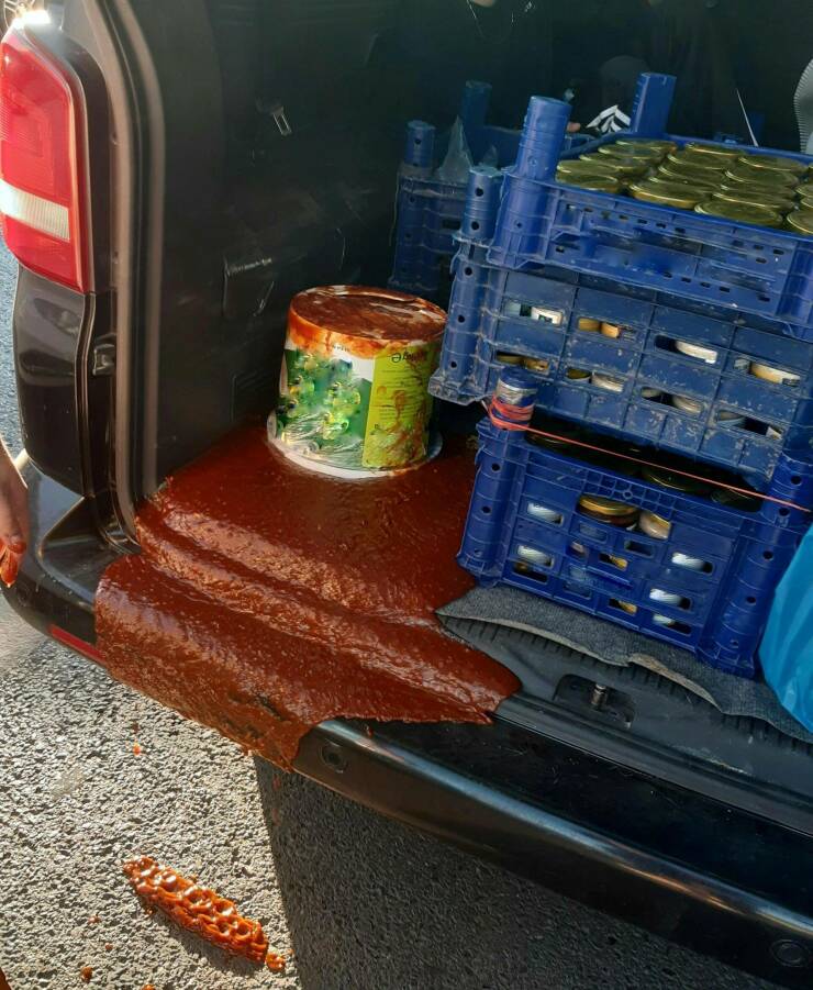 Подборка картинок. Вечерний выпуск (30 фото) - 07.09.2022