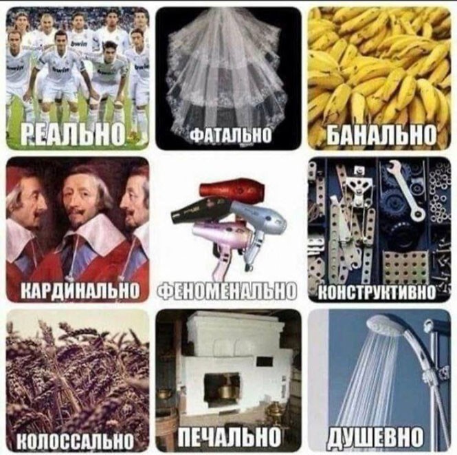 Смешные и познавательные картинки