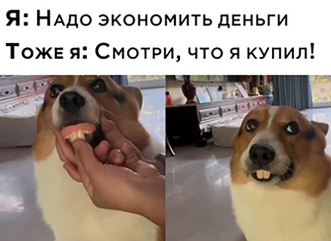 Смешные и познавательные картинки