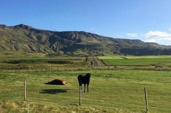 Фотография: 17 фотографий, на которых творится не пойми что №3 - BigPicture.ru