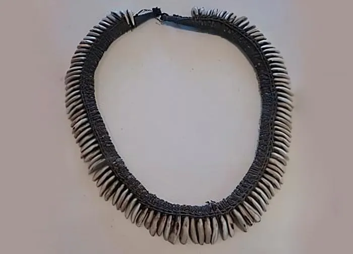 Гавайский пои: Вымершая порода «собак-свиней». Райская жизнь на острове сделала их жалкой пародией на настоящего пса