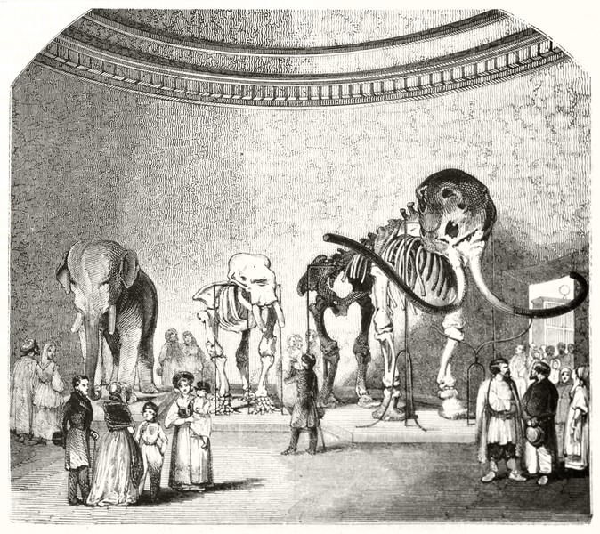 Часть главного зала Российской академии наук, Санкт-Петербург. Иллюстрация неизвестного автора во французском журнале Magasin Pittoresque Paris, 1848 г.